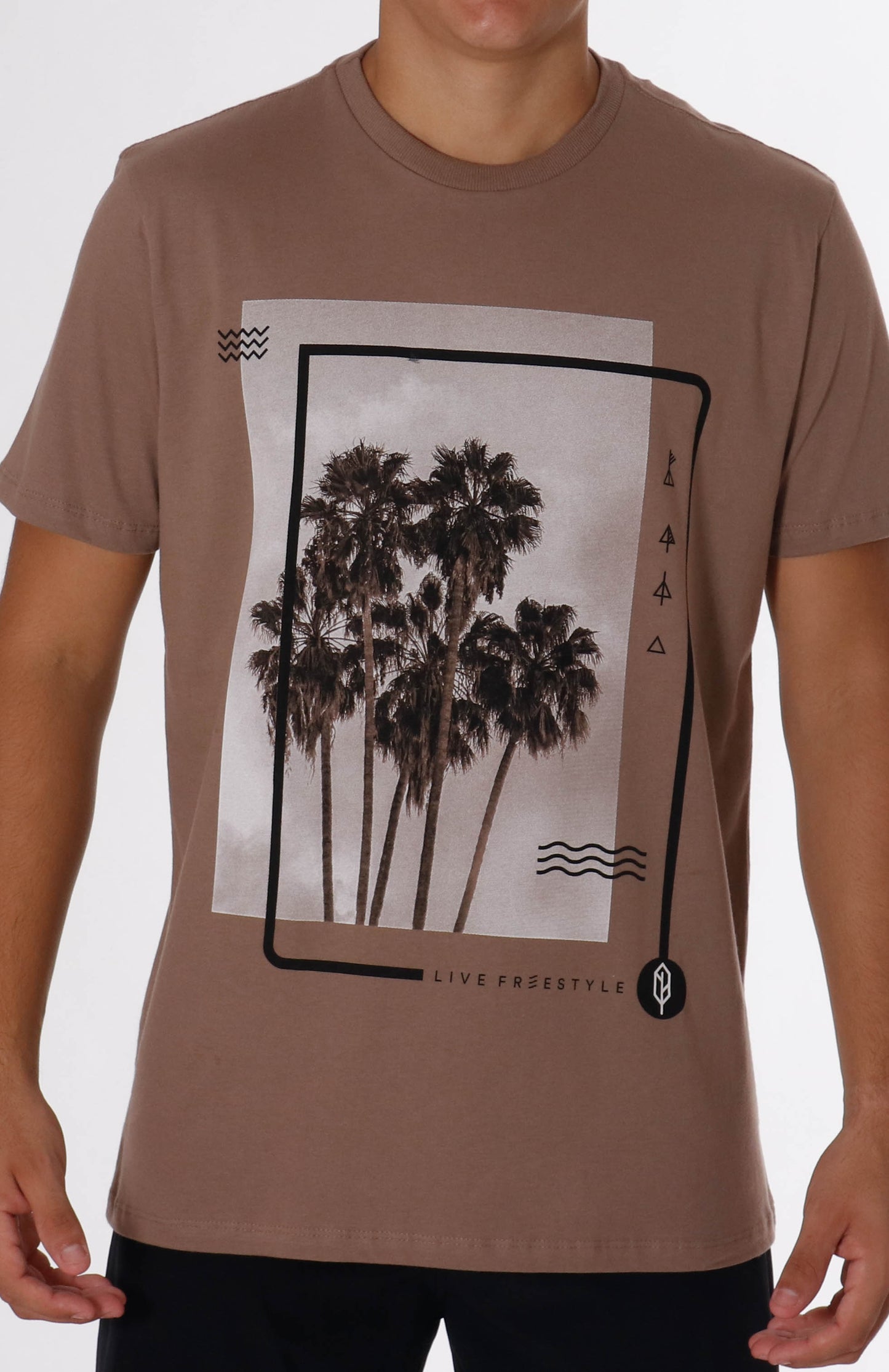 Palm Tree Views Graphic Tee