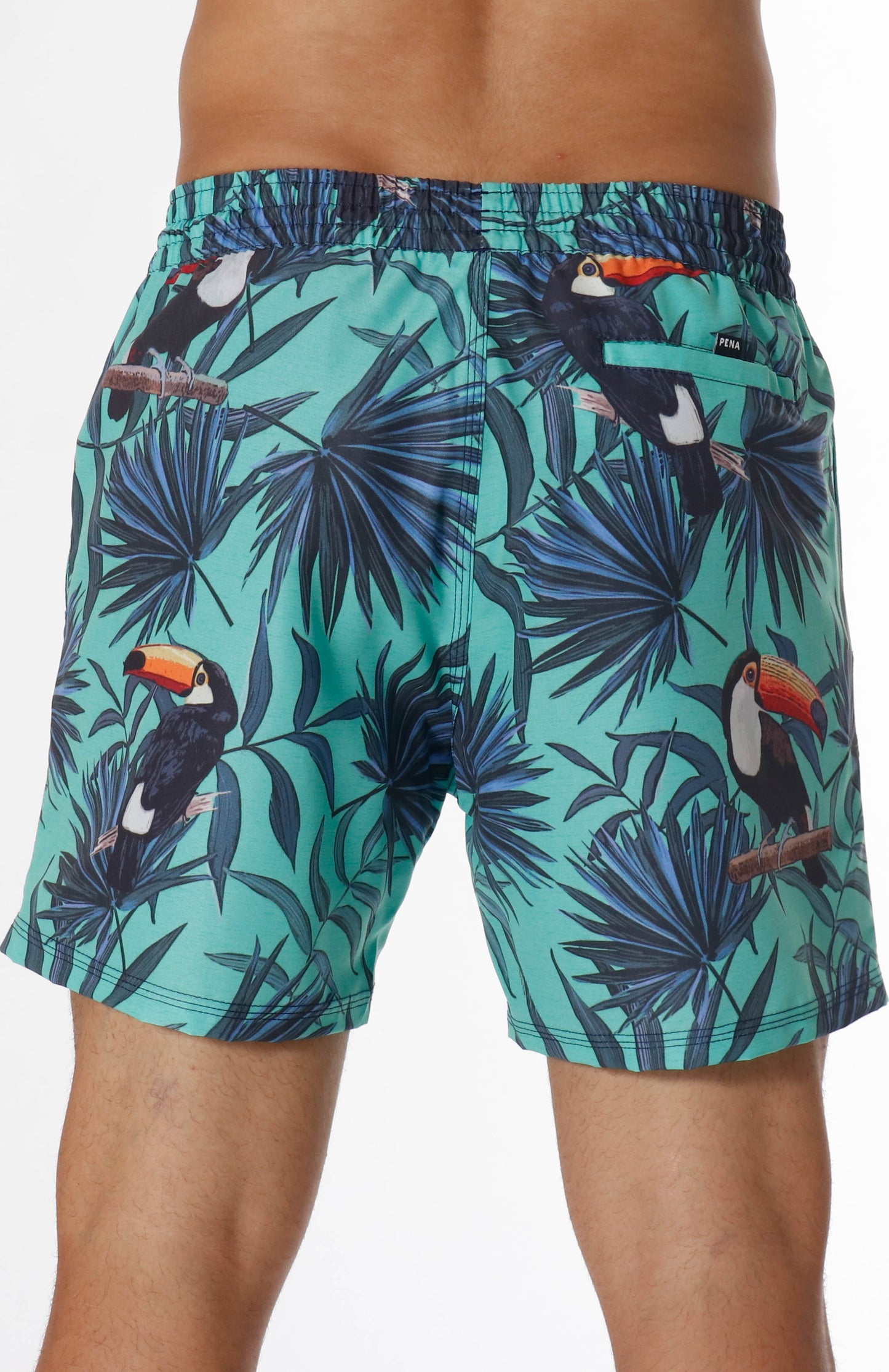 Volley Toucan Shorts