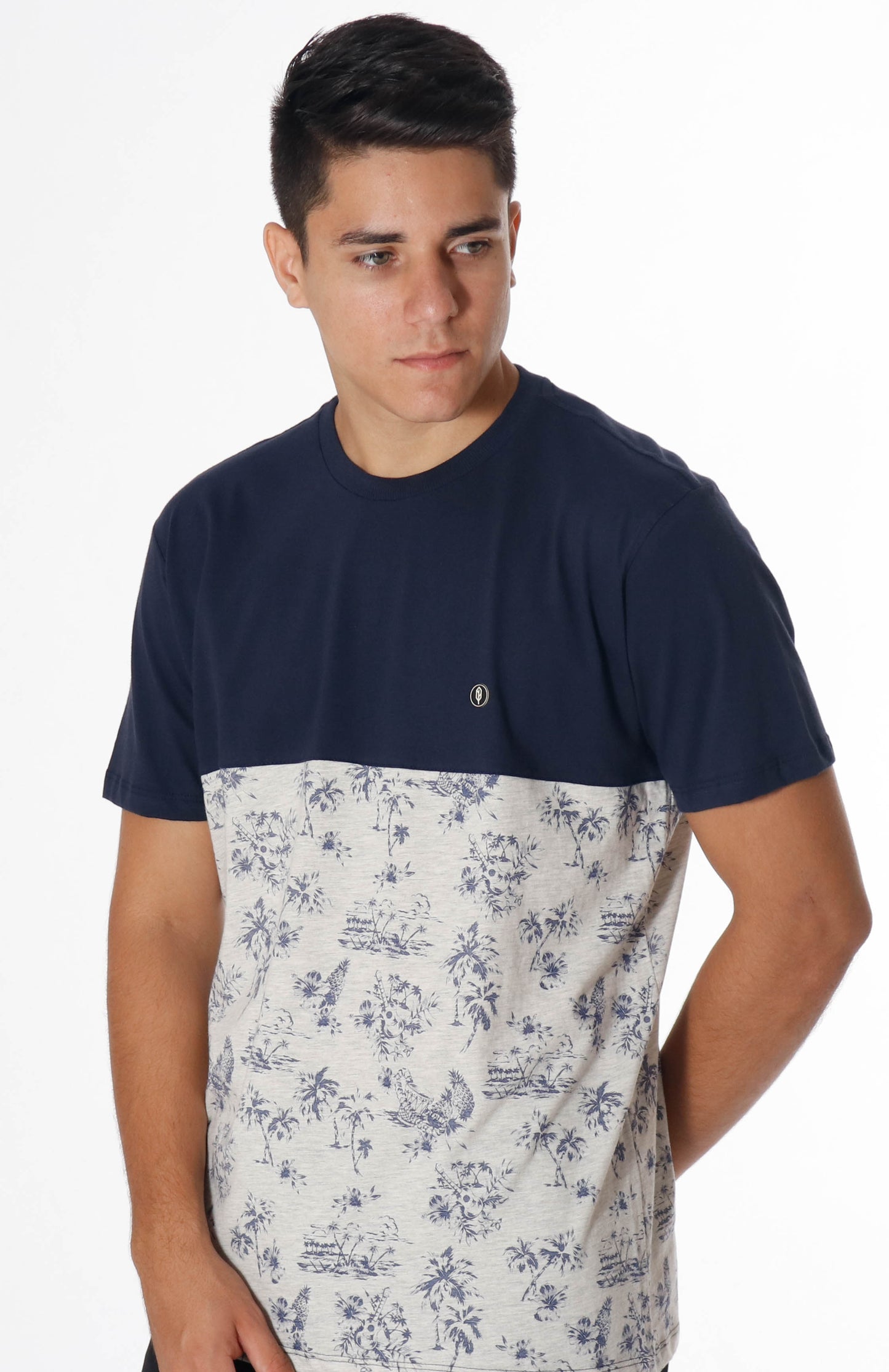 Aloha Block Tee